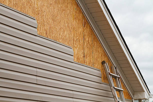 Professional Siding Inspection technician working in Daytona Beach, FL